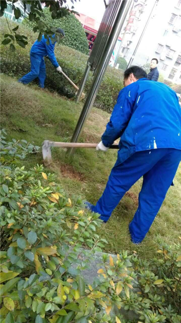 保潔綠化服務(wù)